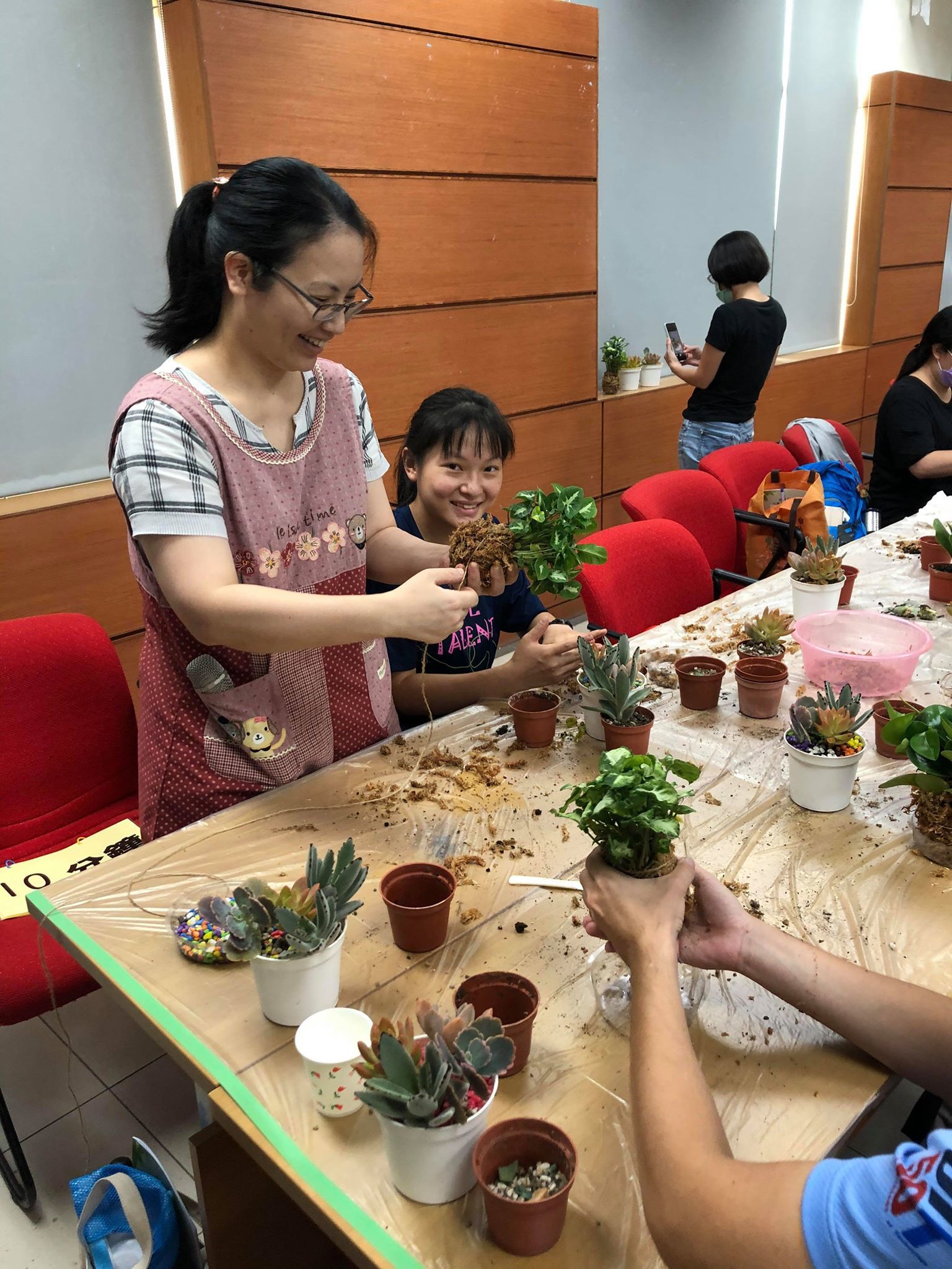 植物08