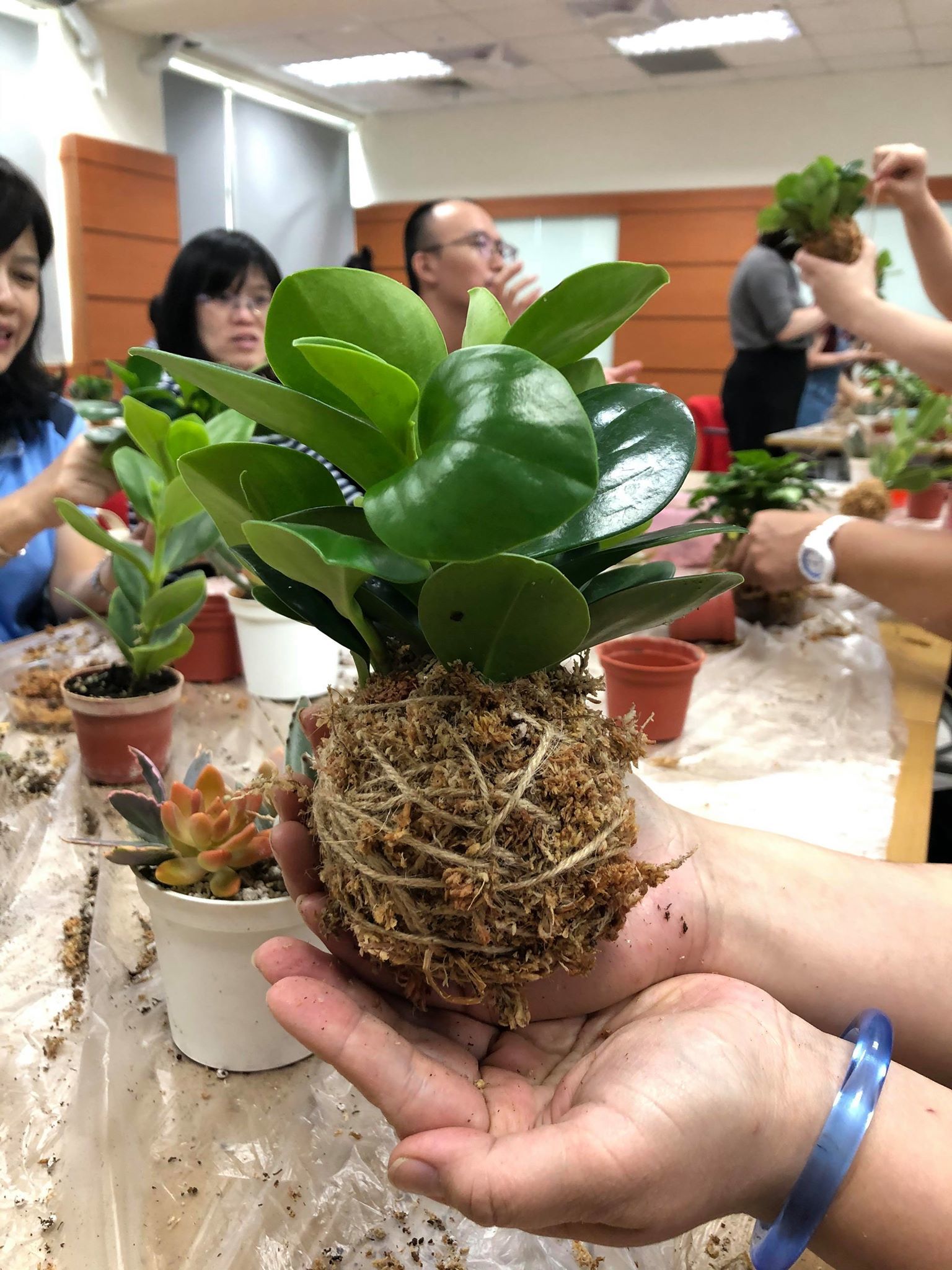 植物07